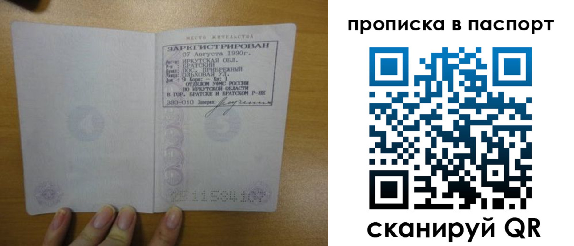 прописка штамп в Светлогорске